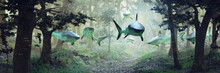 Sharks Swimming In Forest, Surrealistic Scene With A Group Of Sharks Flying In Foggy Fantasy Landscape