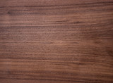 Fototapeta Tulipany - Wood texture of natural american black walnut radial cut with oil wax finish 