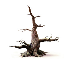 Big Old Dead Tree, Isolated With Shadow On White Background