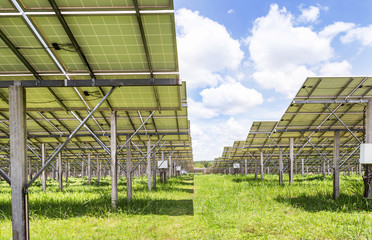 Wall Mural - Row of back side view photovoltaics solar panels in solar power station  alternative energy from the sun