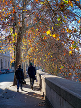 Two Well-dressed Men Walk Along The Banks Of The River Tiber On A Clear Winter Day, Beneath A Curtain Of Colorful Red And Yellow Autumn Leaves In Rome, Italy