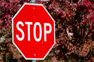 Wall Mural - Stop sign with red leaves in the background