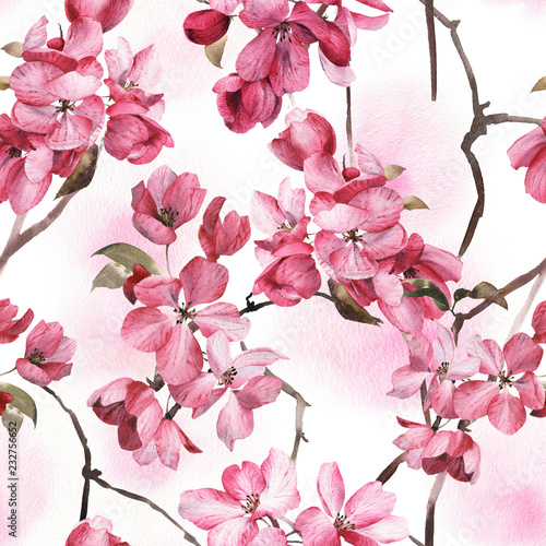 Fototapeta na wymiar Seamless floral pattern with pink flowers, watercolor.