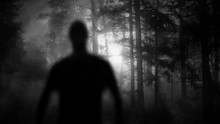 Ghost In The Forest Free Stock Photo - Public Domain Pictures