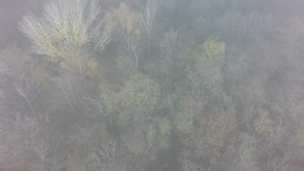 Sticker - flight over the foggy autumn forest, areial view, raw, 4K