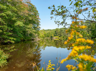 Sticker - riparian scenery around Yarmouth