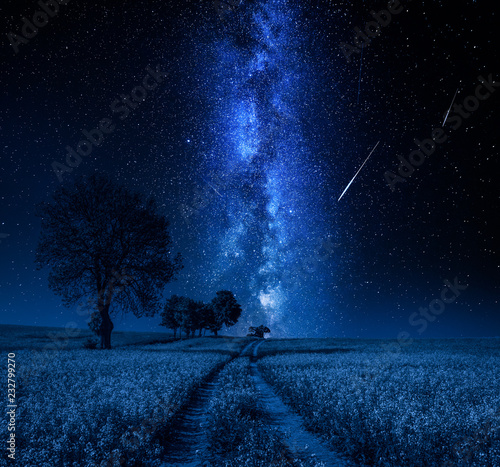 Milky way and field with tr...