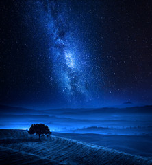 Wall Mural - dreamland with one tree on field and milky way