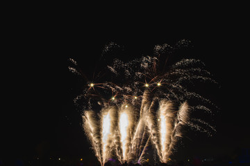 Wall Mural - new year fireworks