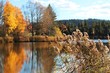 Herbsttag am Weiher, Allgäu, Bayern