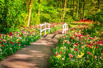 Sticker - Stone paved walk way winding in spring formal flower garden Keukenhof, Holland, retro toned