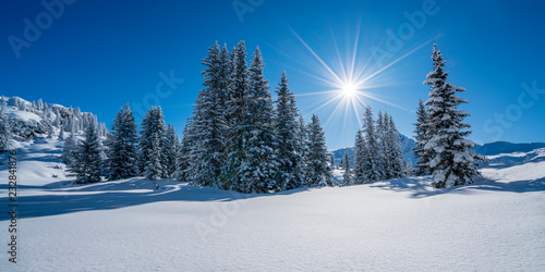 Fotografie, Obraz Winterpanorama - Verschneite Winterlandschaft