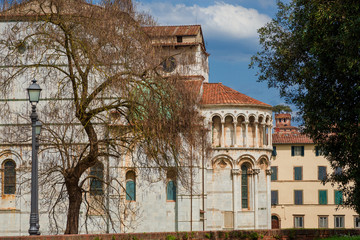 Wall Mural - View of Lucca historic center with medieval cathedral and tower from ancient city walls