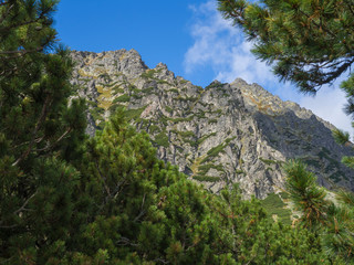 Beautiful sharp mountain peaks framed by pine trees, High Tatras mountain, Slovakia, late summer sunny day, blue sky background