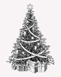 Christmas tree vintage illustation. Hand drawn holiday decor element.