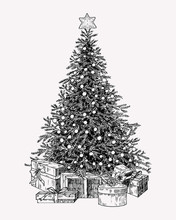 Christmas Tree Vintage Illustation. Hand Drawn Holiday Decor Element.