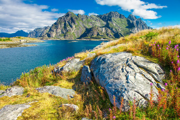 Wall Mural - Lofoten islands in Norway, Europe.