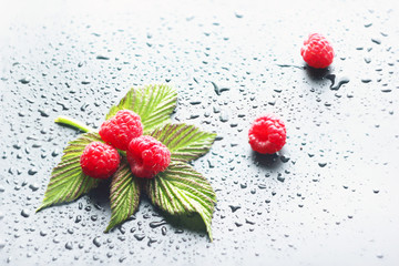 Ripe raspberries on the dark background, close-up, natural product of agriculture.