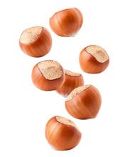 Falling Hazelnut Isolated On White Background, Clipping Path, Full Depth Of Field