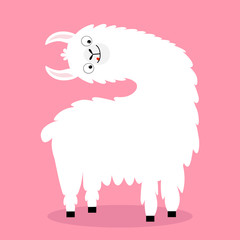 Llama alpaca turning head face, tongue. Cute cartoon funny kawaii character. Fluffy hair fur. Childish baby collection. T-shirt, greeting card, poster template print. Flat design. Pink background.