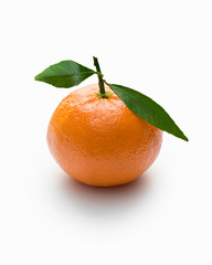 tangerine with leaves, isoltaed