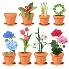 Canvas Print - Flowers pot. Decorative colored plants grow at home in funny pots vector cartoon illustrations set isolated. Flowerpot and houseplant, tulip and geranium flower