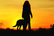 Silhouette Woman Walking With A Dog In The Field At Sunset, Pet Going Near Girl's Leg On Nature