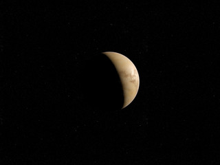 3d rendered illustration of the venus
