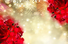 Scarlet Poinsettia Flower Or Christmas Star On Festive Golden Background With Fireworks