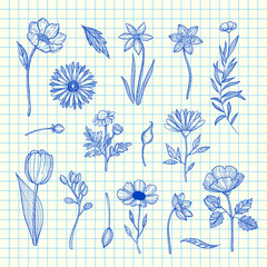 Wall Mural - vector hand drawn flowers set on blue cell sheet background illustration. flower sketch isolated, de