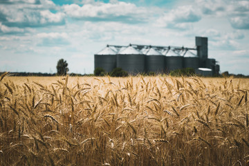 the grain elevator