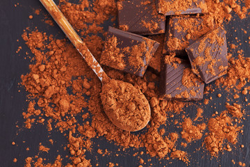 Wall Mural - Broken dark chocolate with cocoa powder