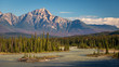 Forested River Valley and High Mountain Peak in Jasper Alberta