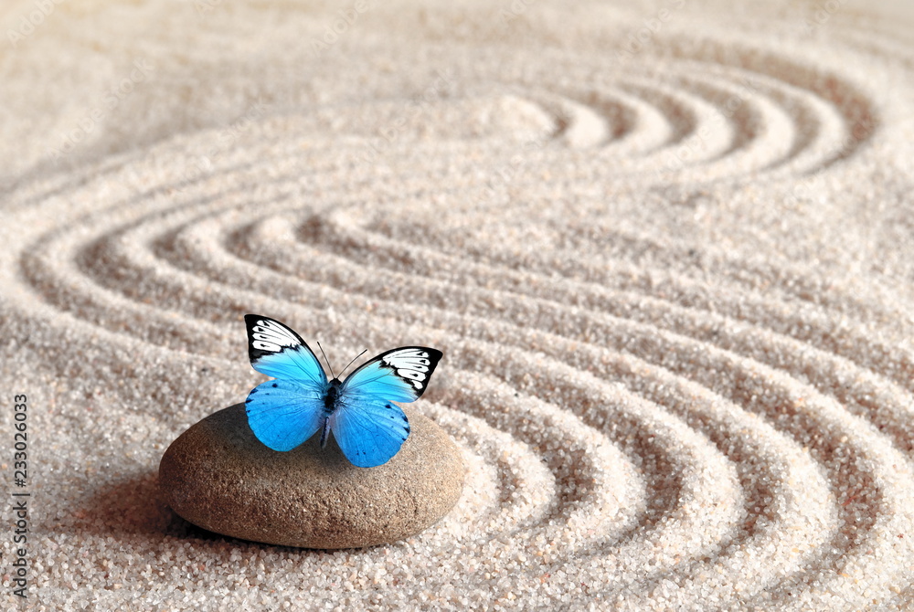 A blue vivid butterfly on a zen stone with circle patterns in the grain sand. - obrazy, fototapety, plakaty 