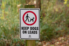 Keep Dogs On Lead Sign