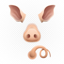 Cute Pig Ears, Tail, And Nose Or Piglet 2019 Chinese New Year Symbol Decorations Pink Piggy Design Elements Animal Body Parts Vector Illustration Isolated