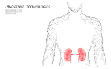 Wall Mural - Kidneys internal organ men silhouette 3d low poly geometric model. Urology system medicine treatment. Future science technology polygonal geometric wire mesh vector illustration