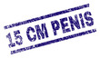 15 CM PENIS seal stamp with grunge style. Blue vector rubber print of 15 CM PENIS text with grunge texture. Text label is placed between parallel lines.