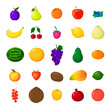 Set of colorful cartoon fruit icons. Vector illustration berries and fruits in cartoon style. Isolated icons