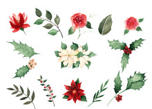 Christmas Watercolor Collection Hand-drawn: Deer Bullfinch Winter House Pine Cone Flowers Twigs Branches Berries Frames Wreaths Seamless Patterns Bouquets Invitations Borders Premade Cards Decor