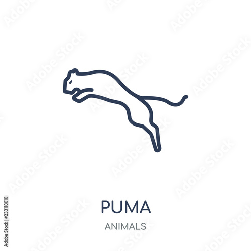 puma icon. puma linear symbol design from Animals collection. - Buy this  stock vector and explore similar vectors at Adobe Stock | Adobe Stock