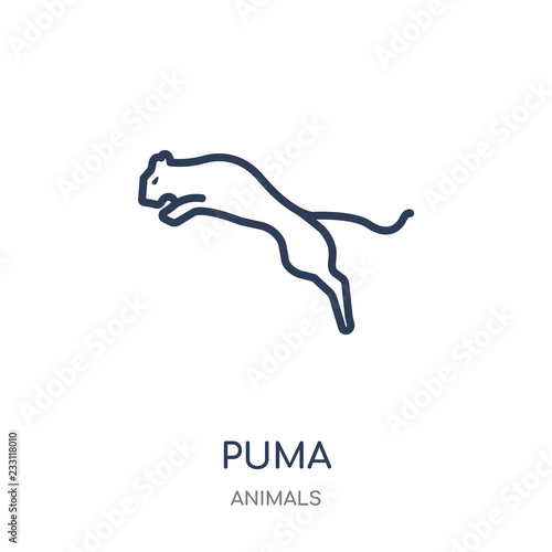 puma stock symbol