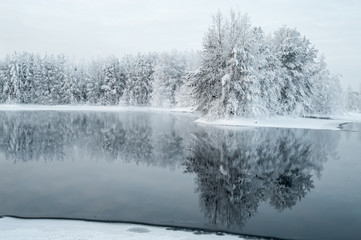 Wall Mural - Lake and frozen trees at winter season, overcast cold weather, north