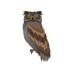 Wall Mural - Owl with gray-brown plumage, side view. Wild flying creature. Forest bird. Flat vector design