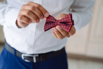 Wall Mural - Close-up man hands holds a red bow tie. Preparing the groom for the wedding day