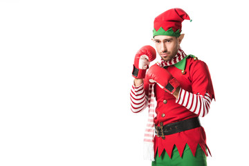 Wall Mural - focused man in christmas elf costume wearing red boxing gloves isolated on white