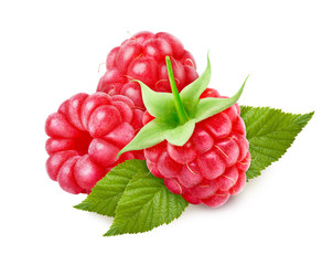 Wall Mural - Isolated raspberries on white