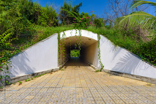 Zdjęcie XXL podziemny tunel dla pieszych