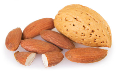 Wall Mural - Almond on white background
