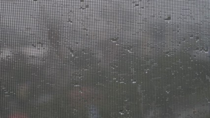 Drops of water on mosquito net surface.